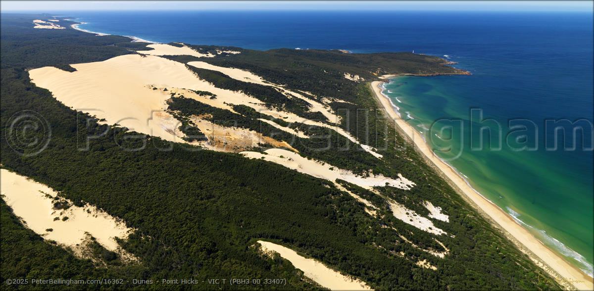 Peter Bellingham Photography Dunes - Point Hicks - VIC T (PBH3 00 33407)